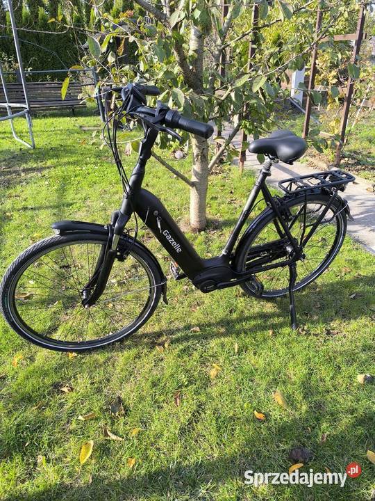 Gazelle Arroyo C7Elite Inowrocław