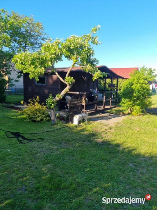Działka ROD 5 min do plaży pomorskie Gdynia sprzedam