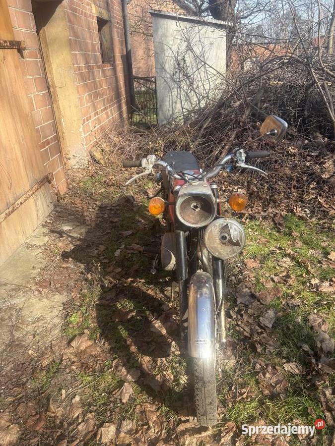CZ 125 z 1975 roku Dzikowiec