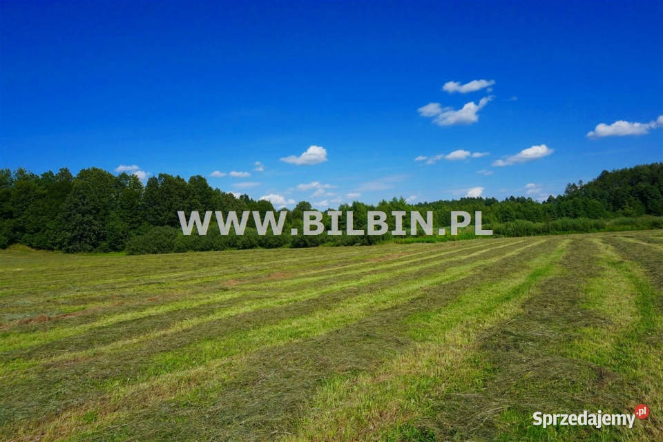 Ogłoszenie działka Stankuny 5178m2