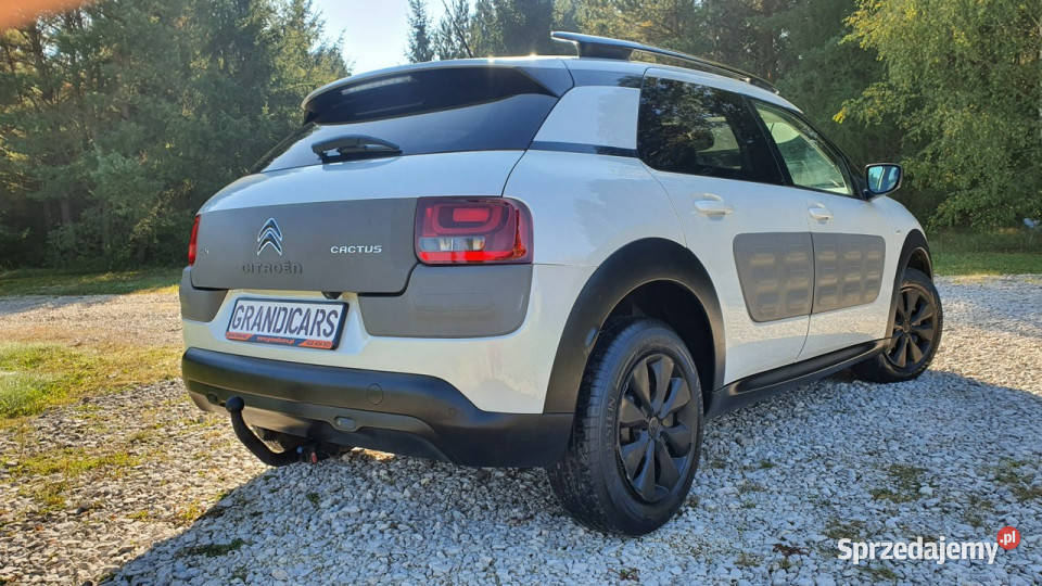 Citroen C4 Cactus 16 HDI Navi Kamera Parktronic Chmielnik