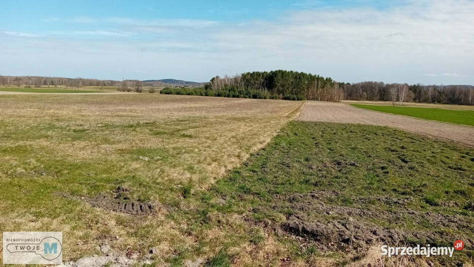 sprzedaży gruntu 56571m2 Strawczyn świętokrzyskie