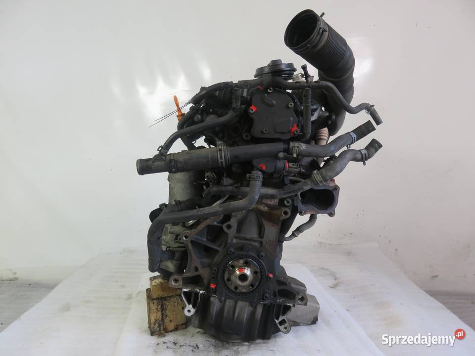 SILNIK SEAT IBIZA III 6L1 14 TDI 75 AMF