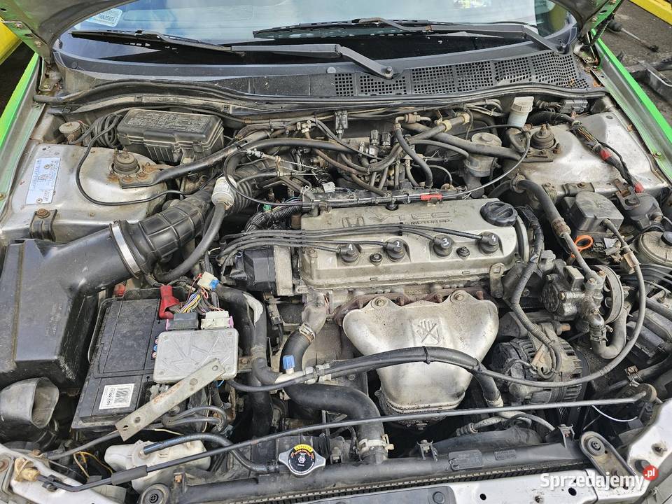 Honda akord VI Motoryzacja Polesie sprzedam