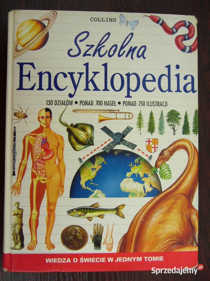 Szkolna Encyklopedia Rok wydania 2004 Warszawa