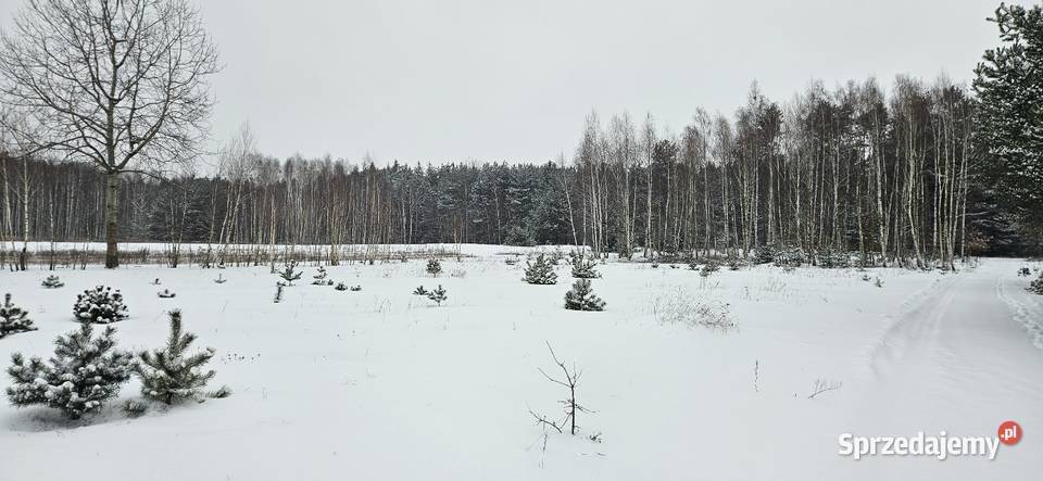 Działka bud Bobrowniki 1076M2 1200M2 WZ dookoła sprzedam