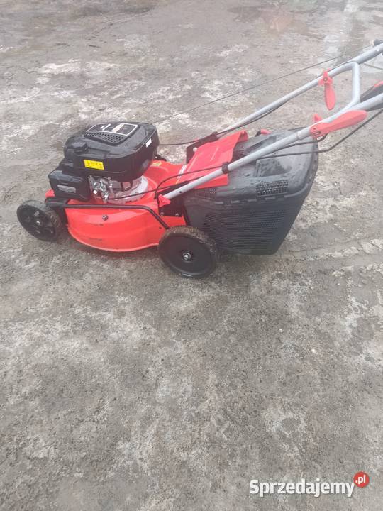 Kosiarka z napędem Hecht 554 SX 2020 r 6 hp Pielgrzymka