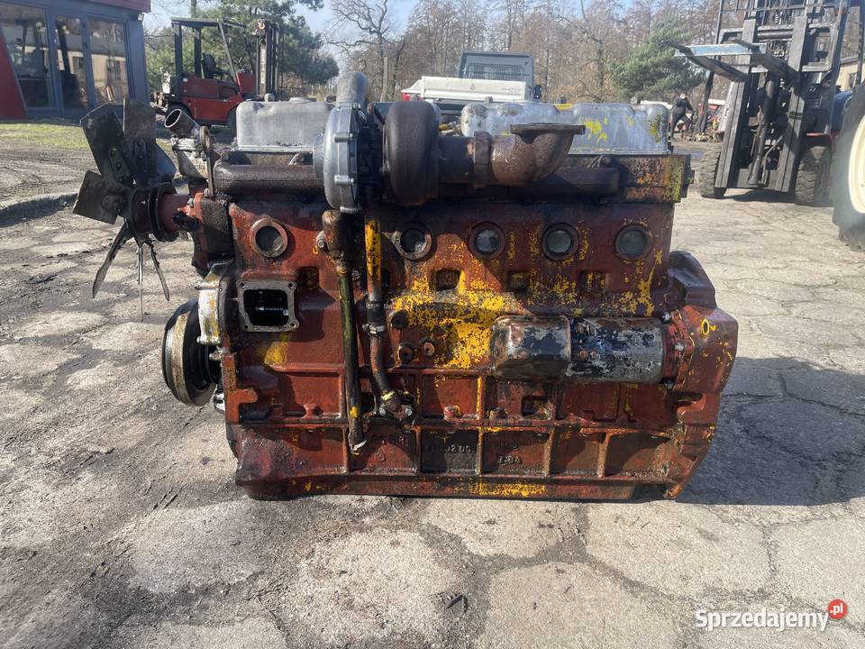 Silnik Ursus Zetor 160 Duży Wybór TURBO Zetor Gniezno sprzedam