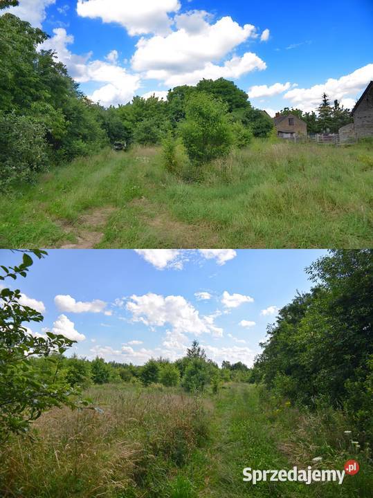 Na sprzedaż działka 175 ha Janik gmina Kunów świętokrzyskie