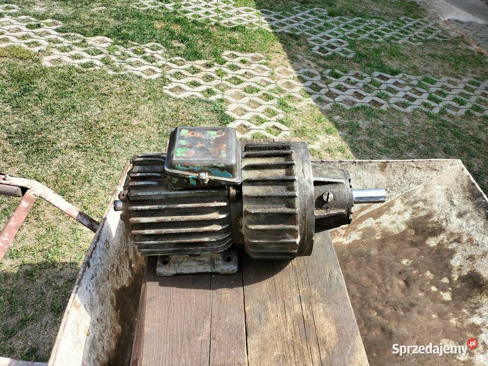 Łupiarka do drzewa Łupiarka do drzewa Człopa