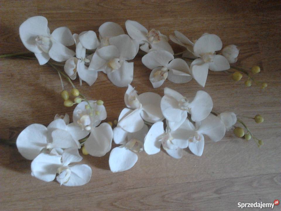 IKEA SMYCKA Sztuczny kwiat Orchidea biały Kraków