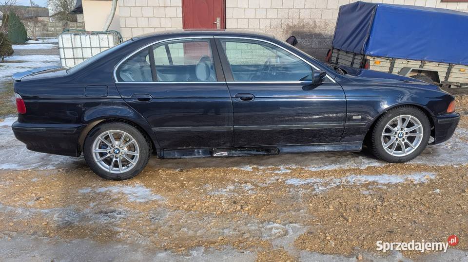 BMW E39 528 Momocicha