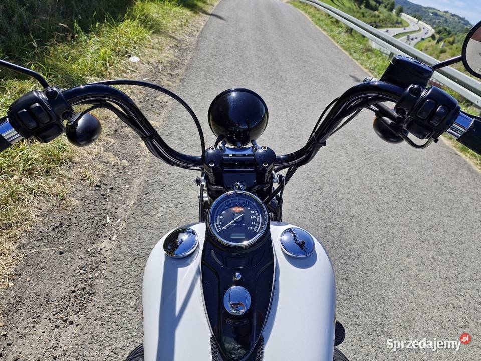 Harley Davidson Softail Cross Bones Myślenice