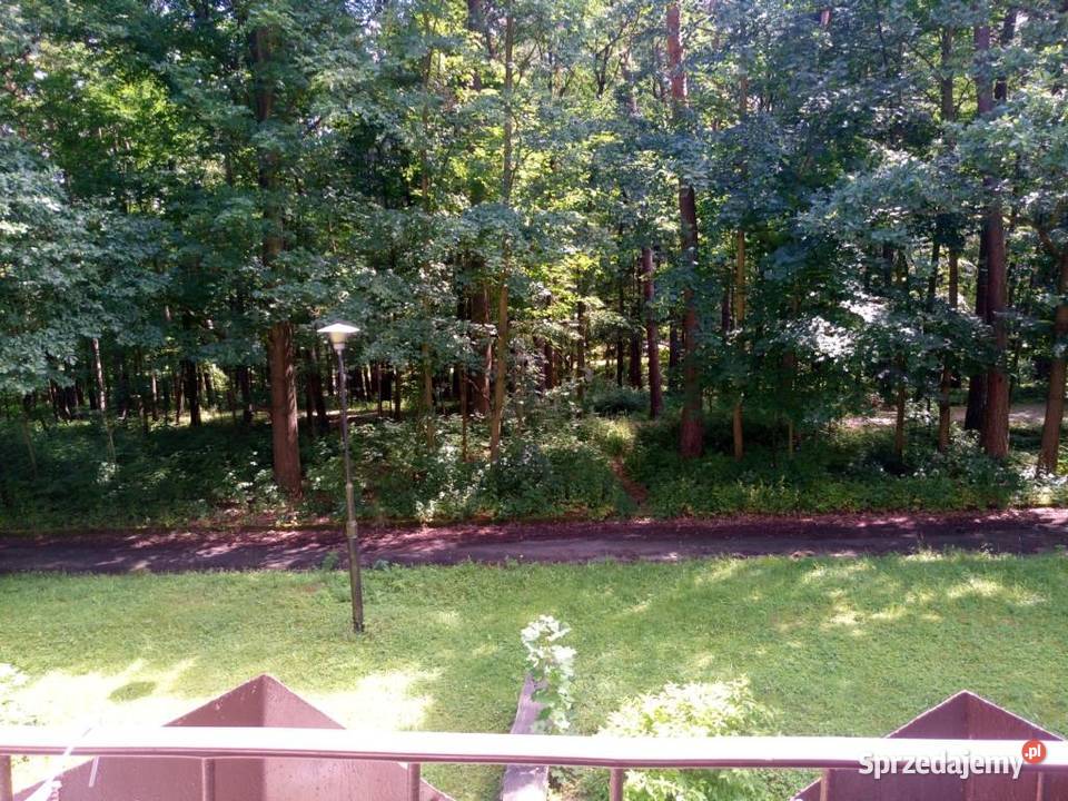 Do wynajęcia przytulny mikroapartament w Wynajem Polanica-Zdrój sprzedam