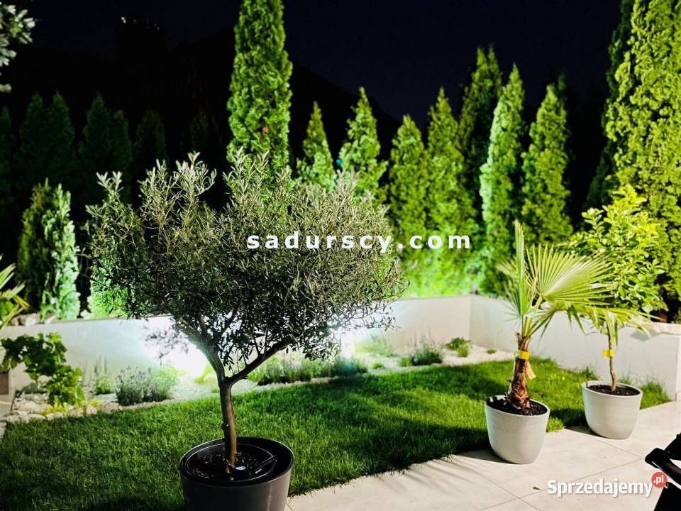 Dom szeregowy Józefosław 285m2