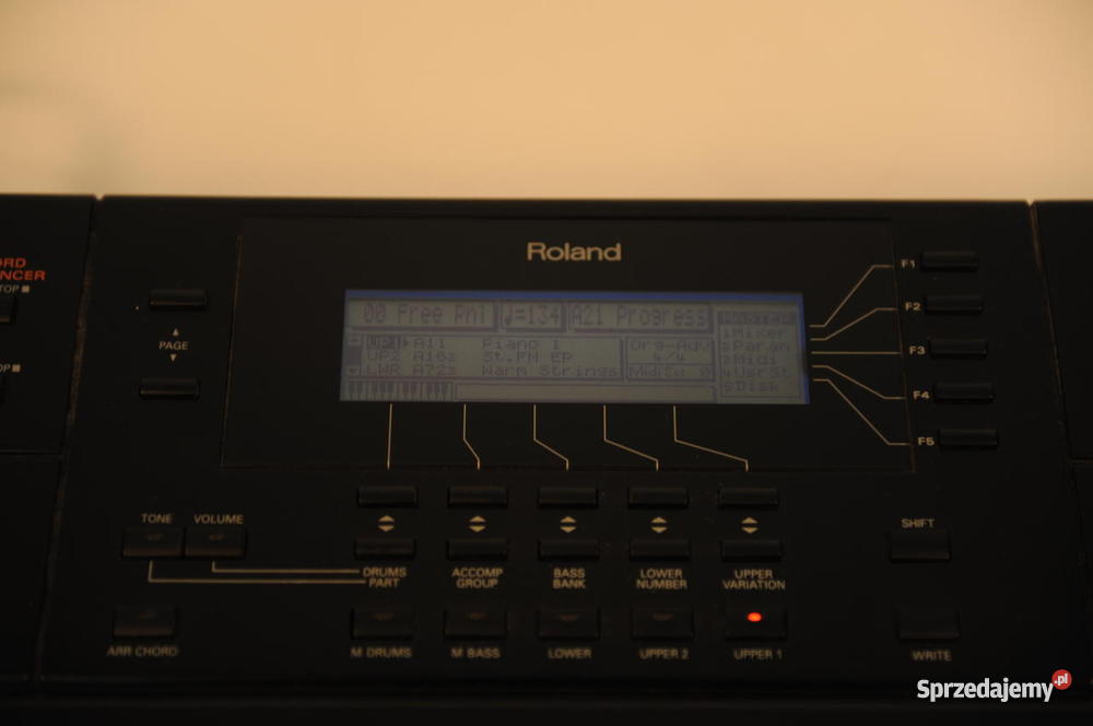 Roland G600 Jerka