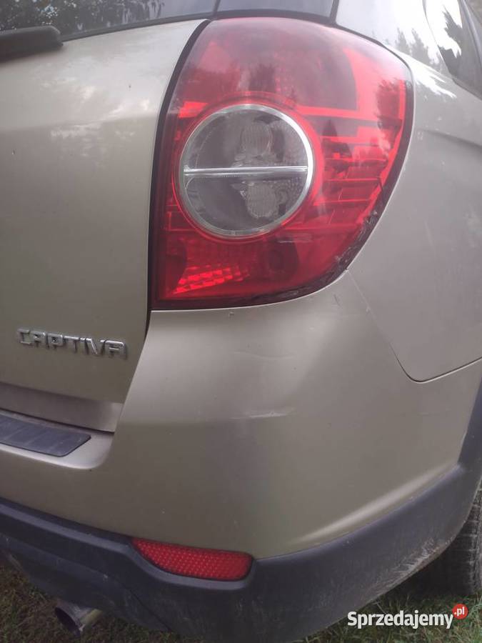 Captive sprzedam Czastary