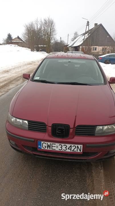 Seat leon Leon warmińsko-mazurskie Iława