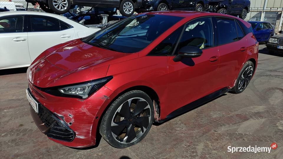 CUPRA BORN łódzkie Poddębice