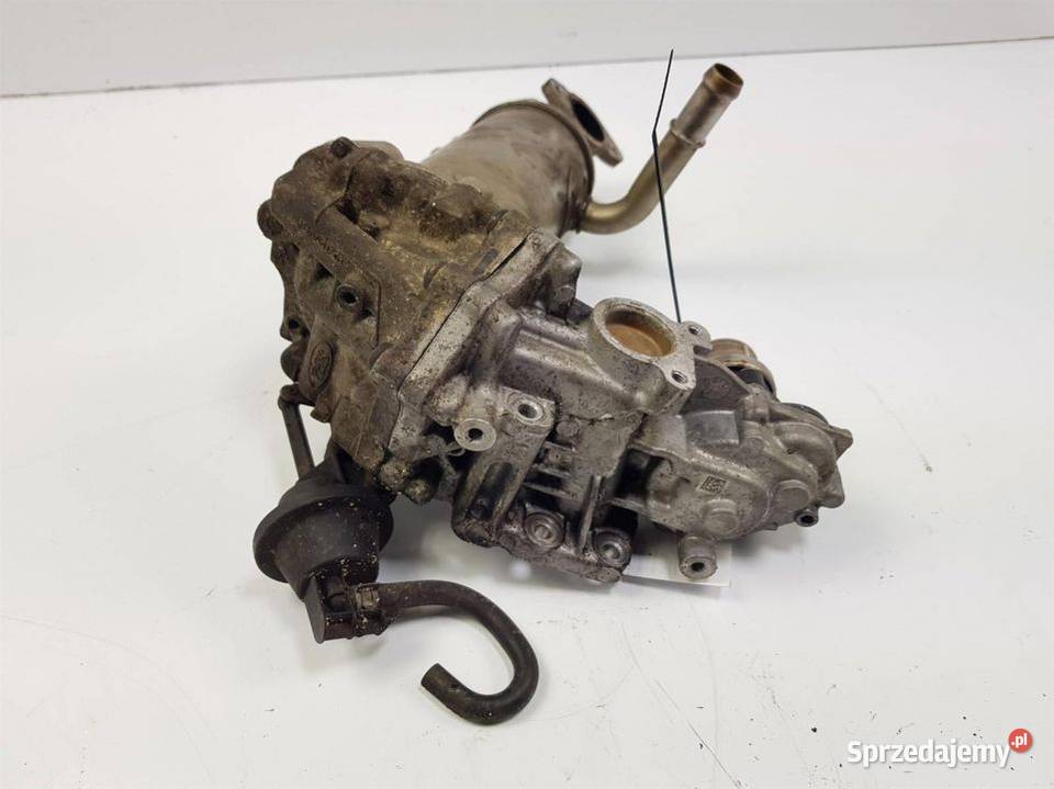 ZAWÓR EGR FORD TRANSIT MK8 GK2Q9F464AC osobowe Lipno