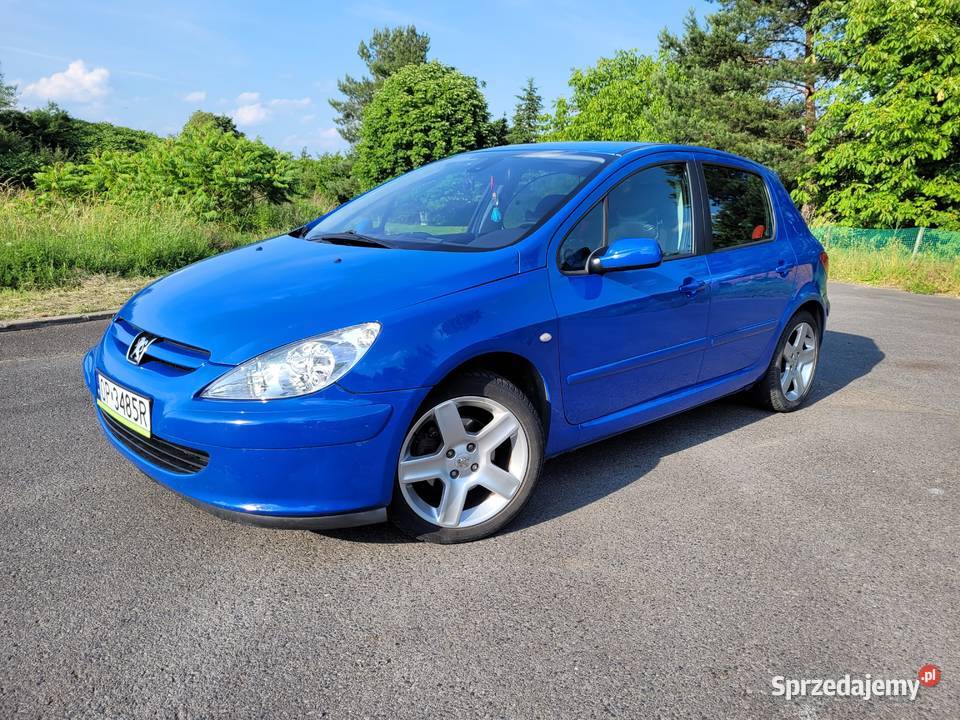 Peugeot 307 20 benzyna 177 Opole