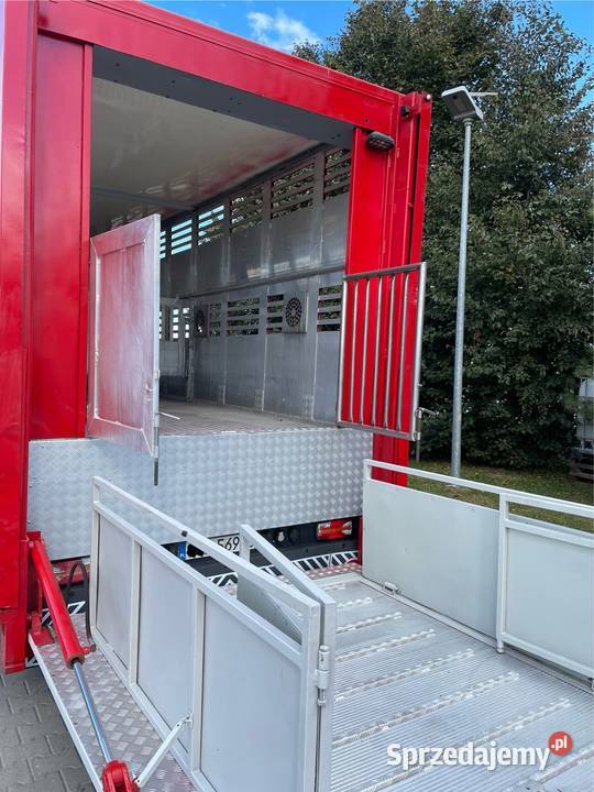 DAF CF 370 do żywca zwierząt Kielce