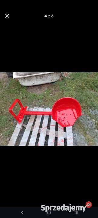 Dzik 21 dolnośląskie Bukowice