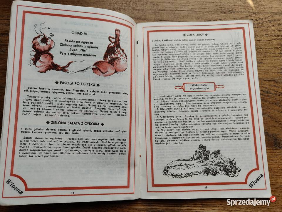 Obiady błyskawiczne Alina Stradecka Pozostałe sprzedam