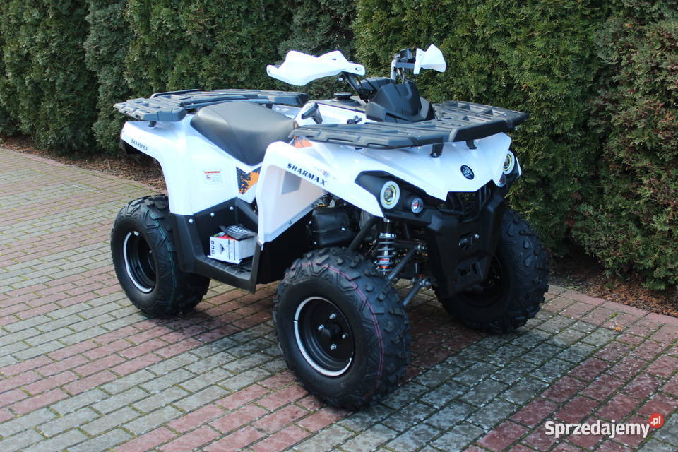 Quad 200 SHARMAX cc 4t Hammer Shinerau Bashan Goleniów