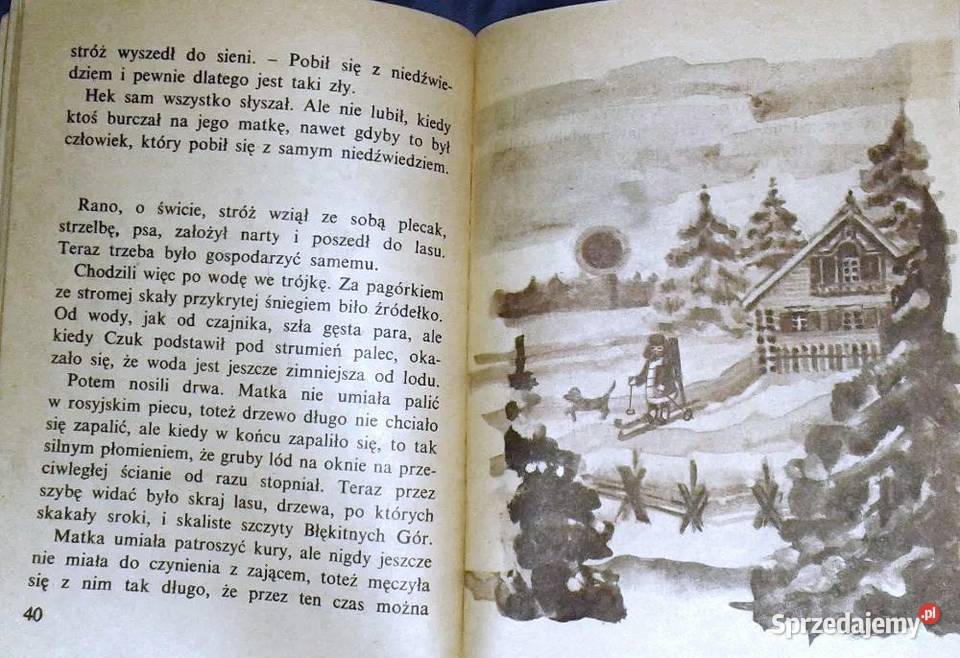 Czuk i Hek Arkady Gajdar Pozostałe lubelskie Chełm