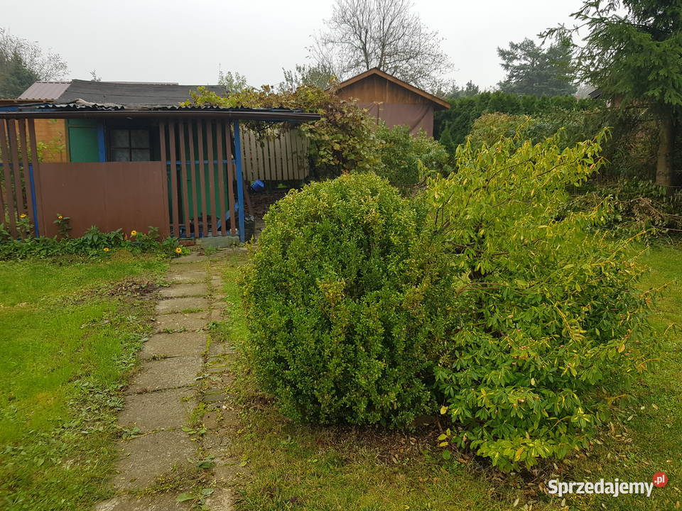 Działka rod w centrum miasta mazowieckie Sochaczew