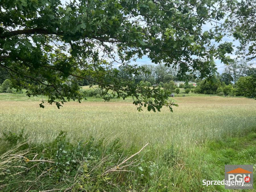 Działka 7300m2 Ościęcin sprzedam