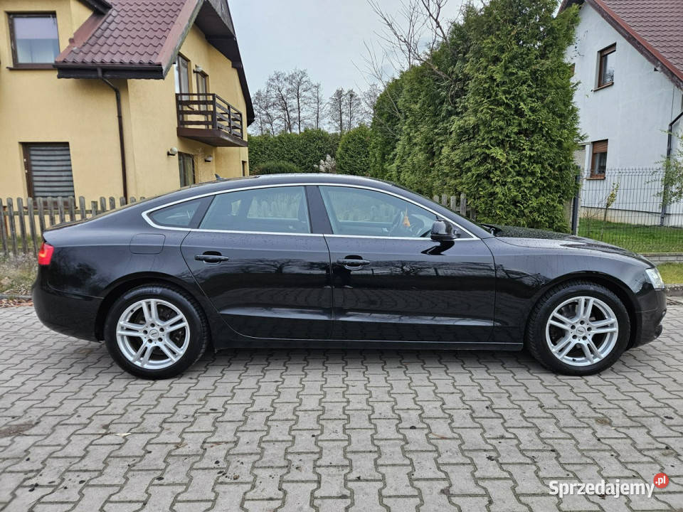 Audi A5 Sportback 1213r 177 Navi Zadbany Rata800 A5 Śrem