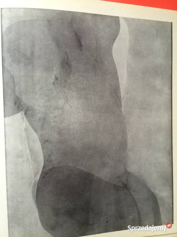 2358 XI Festiwal Polskiego Malarstwa Szczecin