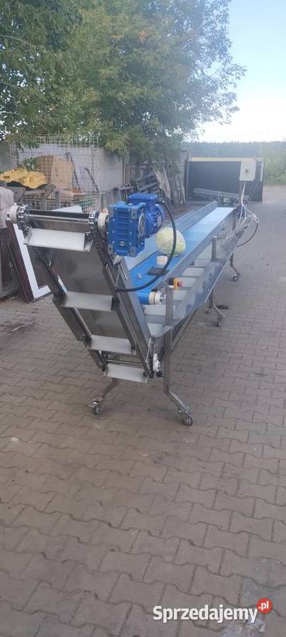Taśmociąg do kapusty z przenośnikiem do odbioru Rumiejki