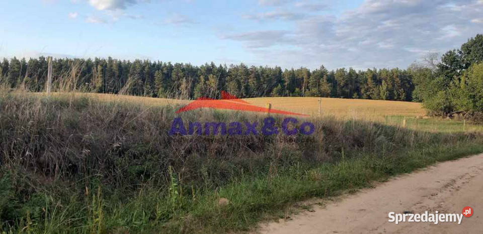 Ogłoszenie działka Strzelniki Grunty i działki sprzedam