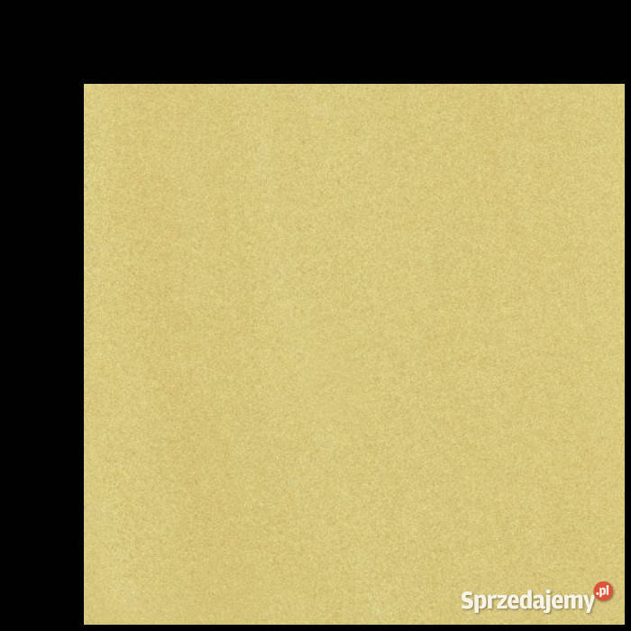 Płytka Arkesia brown Poler 598 x 598 Paradyż zachodniopomorskie Białogard