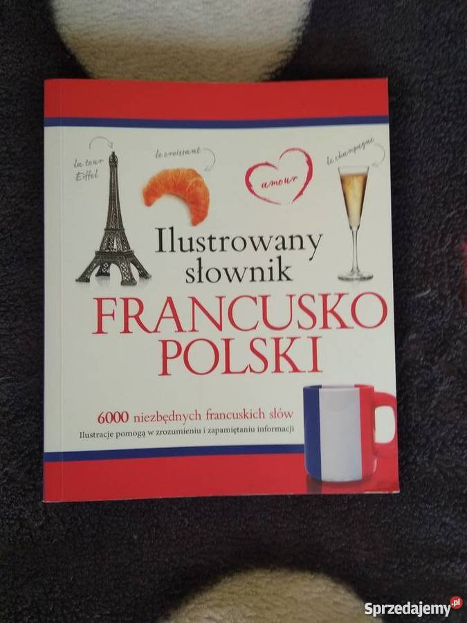 Ilustrowany słownik Francusko-Polski 6000 słów Olesiejuk