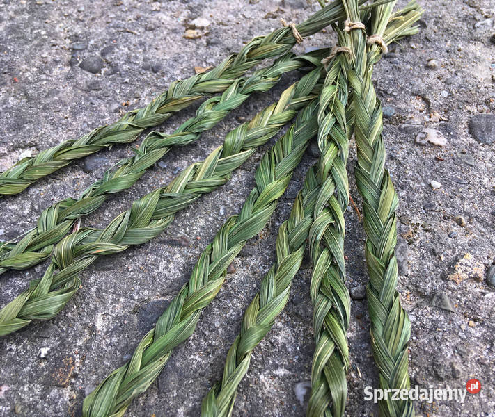Turówka wonna żubrówka kadzidło warkocz Indianie Kraków