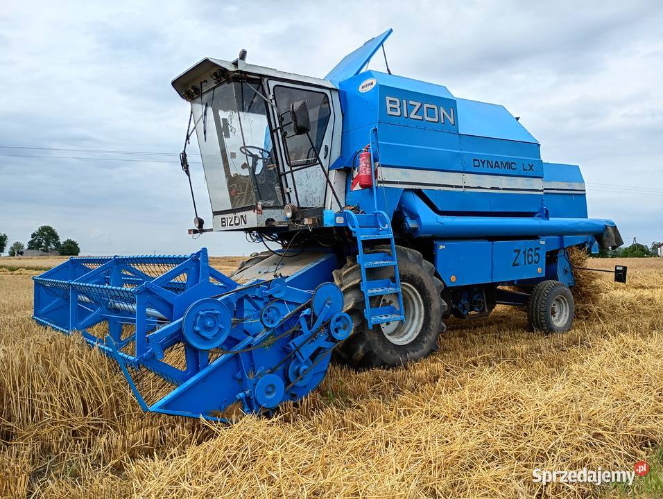 Bizon Dynamic LX Z165 1996r 2 hedery