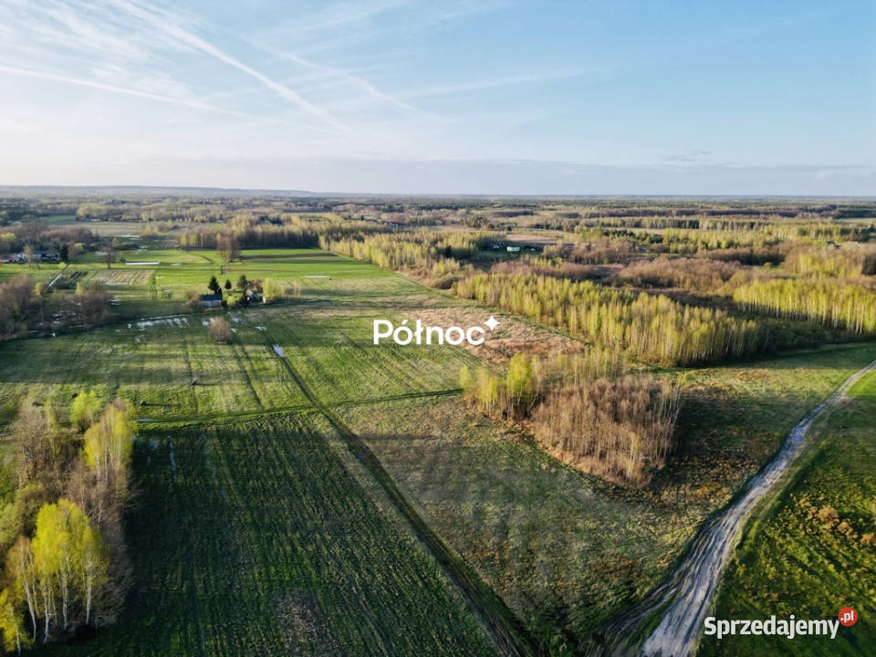 Działka rolnibudowlana 295h Żalin gm RudaHuta