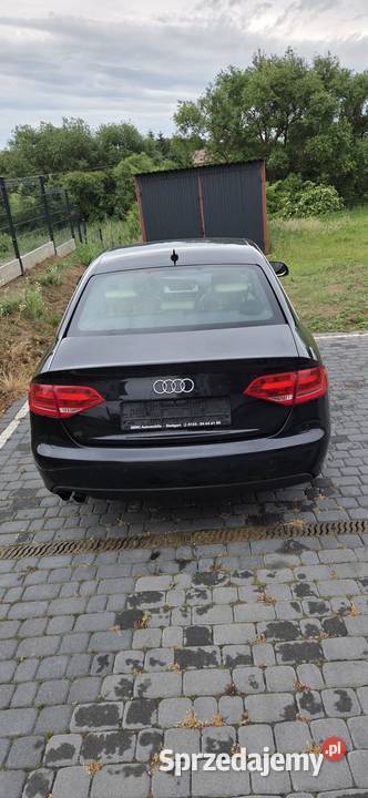 Audi b8 Tuchola