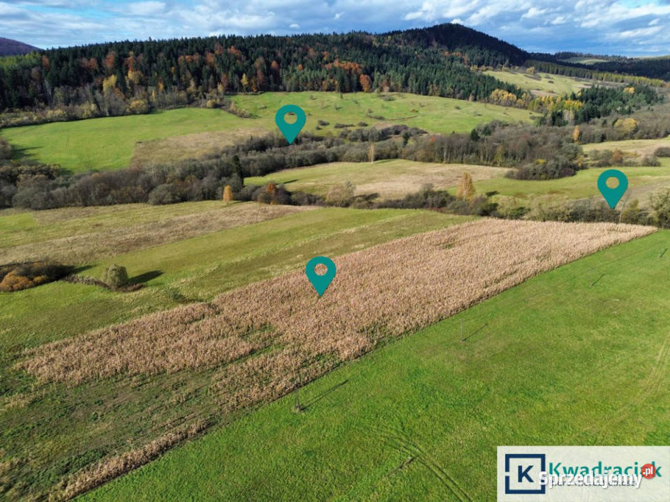 sprzedaży gruntu 587000m2 Daliowa 587000m2