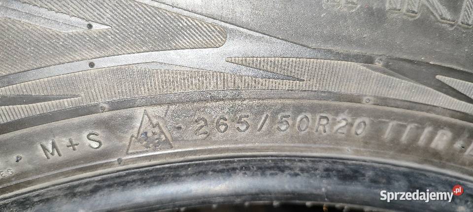 Opony zimowe Nokian 2655020R