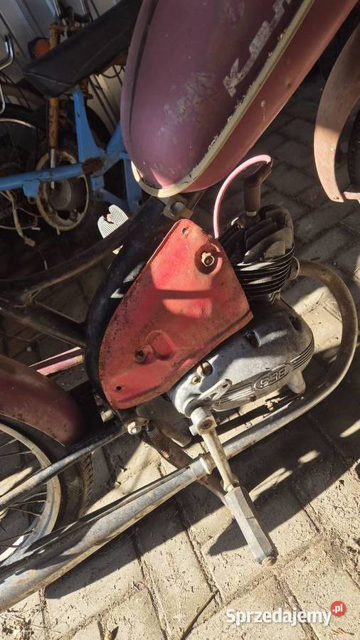 Komar sztywniak sprzedam