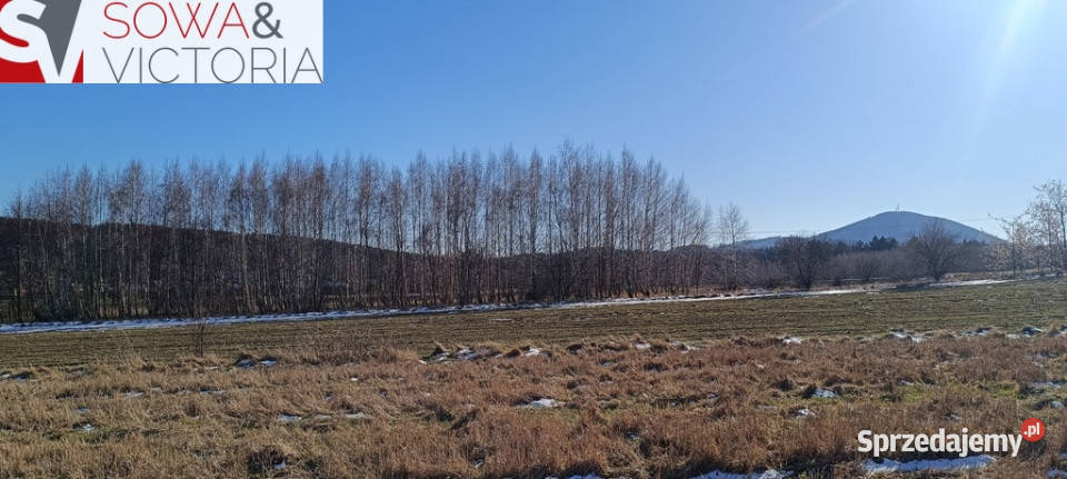 Słoneczna działka budowlana w Szczawnie Zdroju