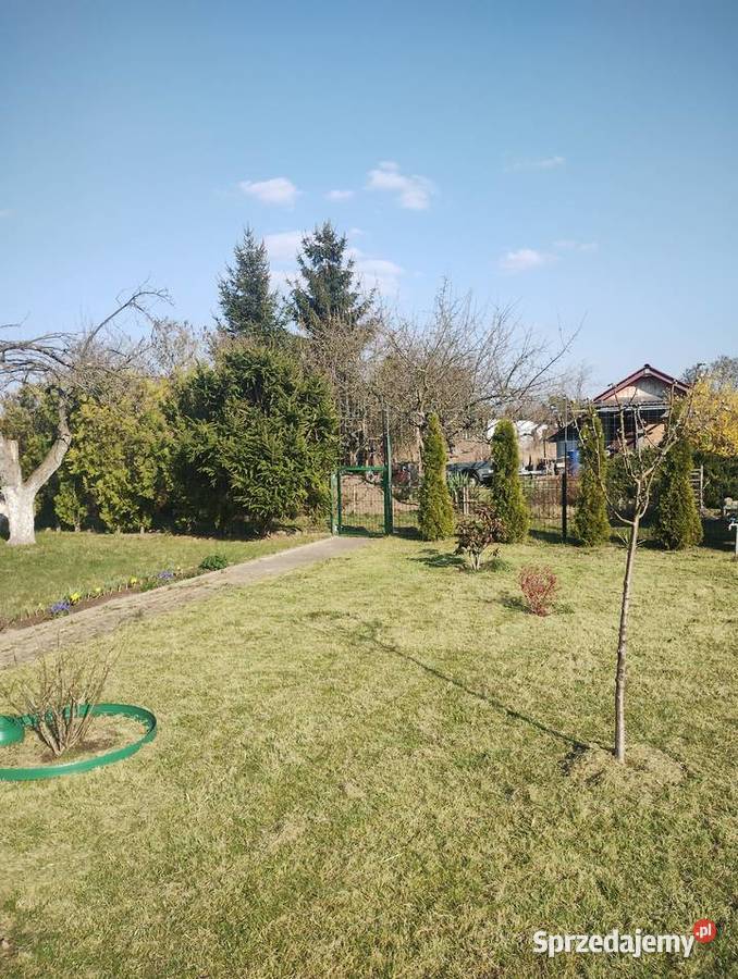 Sprzedam Działka ROD utwardzona Międzychód