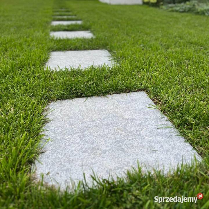 Płytki Wapień L828 płomieniowany i szczotkowany Lębork