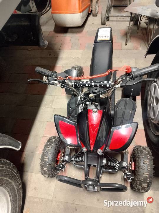 Quad 50 Mini Quad