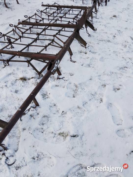 Brony 5 polowe Grudziądz śląskie Miedźno